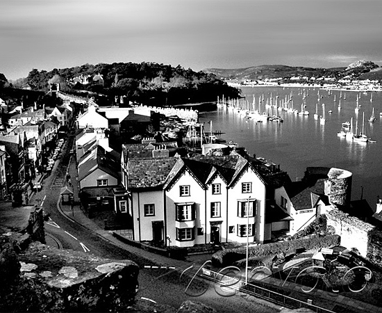 攻击网站服务器